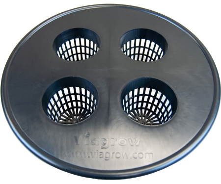 G125 V4MLCS